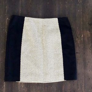 NWT Loft Skirt
